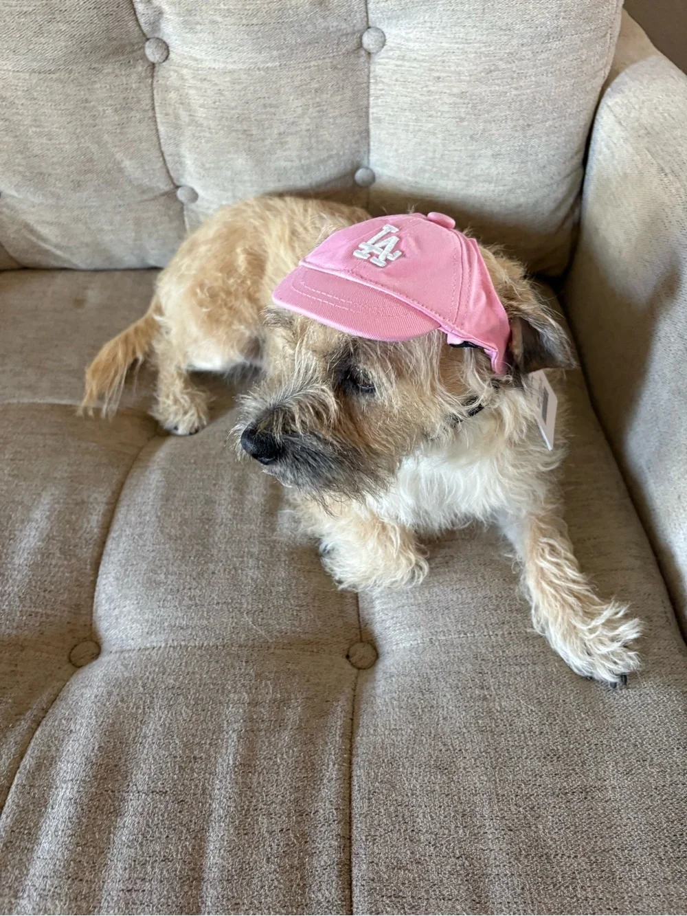 N/A cute pink